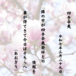 隣の市が四手辛夷発祥との情報を妻が得てきて今日はそちらへ