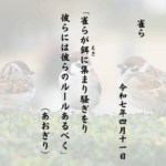 雀らが餌（えさ）に集まり騒ぎをり彼らには彼らのルールあるべく