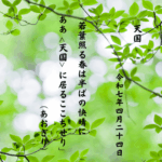 若葉照る春は半ばの快晴にああ に居るここちせり