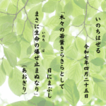 木々の若葉きらきらとして日にまぶしまさに生命（いのち）の爆（は）ぜ止まぬなり