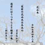 家前の花水木は冬木のままなれど遠目にはうつすらとさ緑帯び来