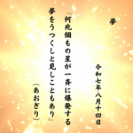 何兆個もの星が一斉に爆発する夢をうつくしと見しこともあり
