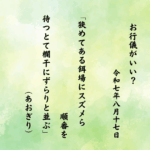 狭めてある餌場にスズメら順番を待つとて欄干にずらりと並ぶ