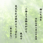 二階より主幹めがけて放水す炎天なれば樹木よろこばむと
