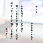 これも個性？テレビなど観ているようで観ていない僕と観ていないようで観ている妻と
