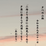 二階より遠方に山脈見えてゐて夕茜に染まらず沈潜してをり