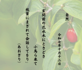 玄関前の花水木にときどき小鳥ら来て枝葉にまぎれて会話してをり