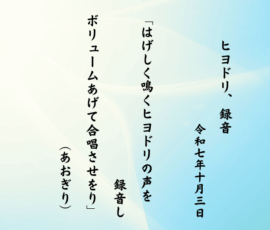 はげしく鳴くヒヨドリの声を録音しボリュームあげて合唱させをり